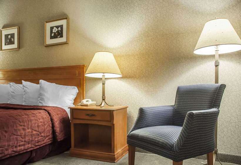 فندق Comfort Inn Lundy S Lane