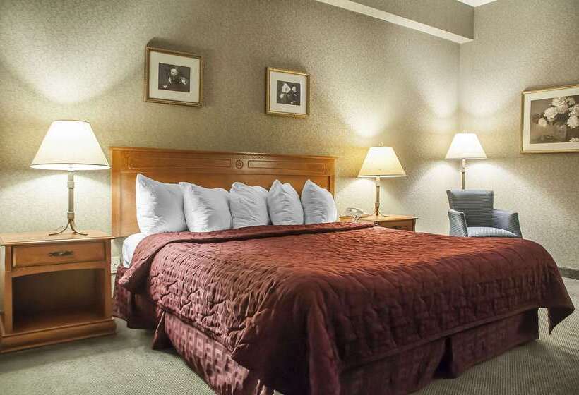 فندق Comfort Inn Lundy S Lane