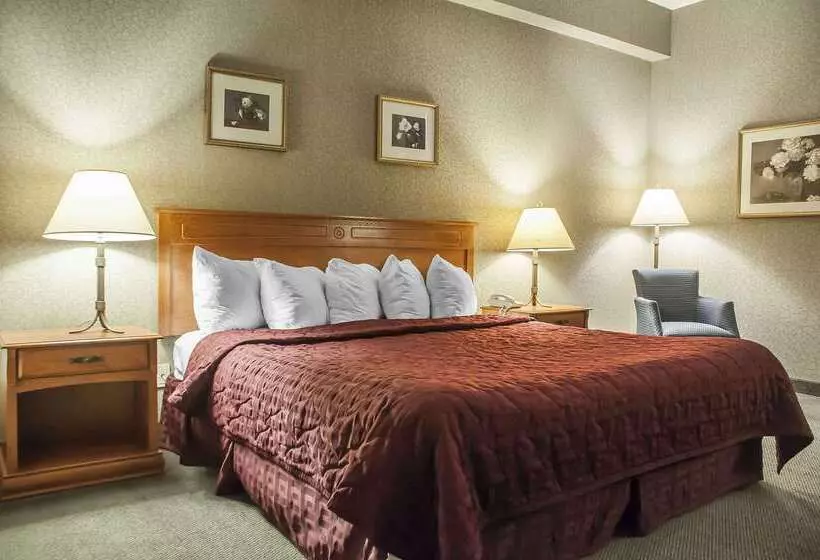 ホテル Comfort Inn Lundy S Lane