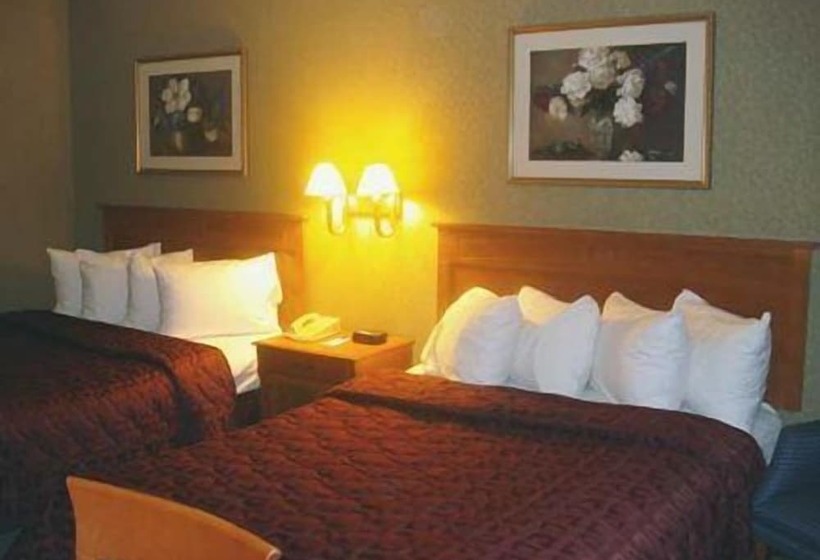 فندق Comfort Inn Lundy S Lane