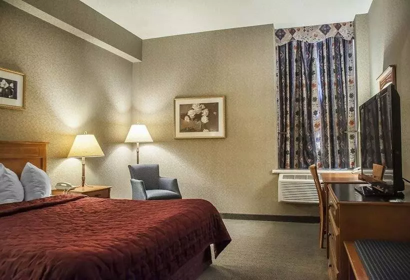 ホテル Comfort Inn Lundy S Lane