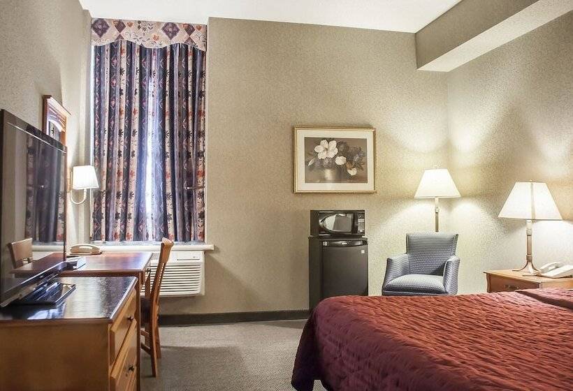 فندق Comfort Inn Lundy S Lane