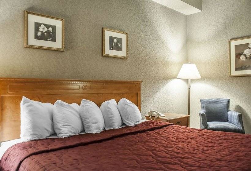 فندق Comfort Inn Lundy S Lane