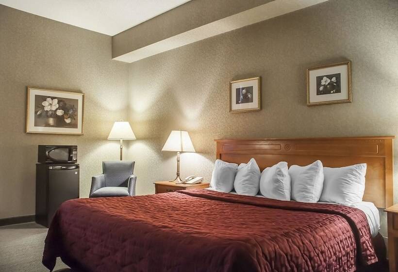 فندق Comfort Inn Lundy S Lane