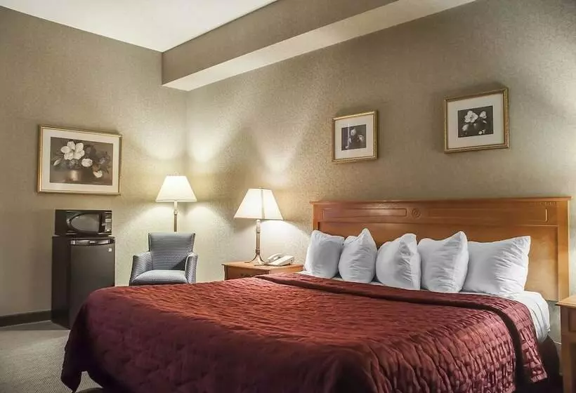 ホテル Comfort Inn Lundy S Lane