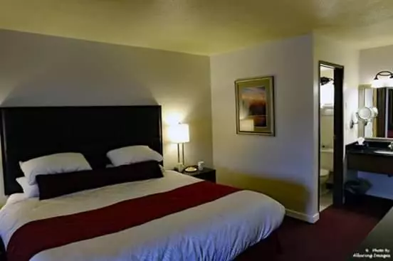 هتل Diamond Head Motor Inn