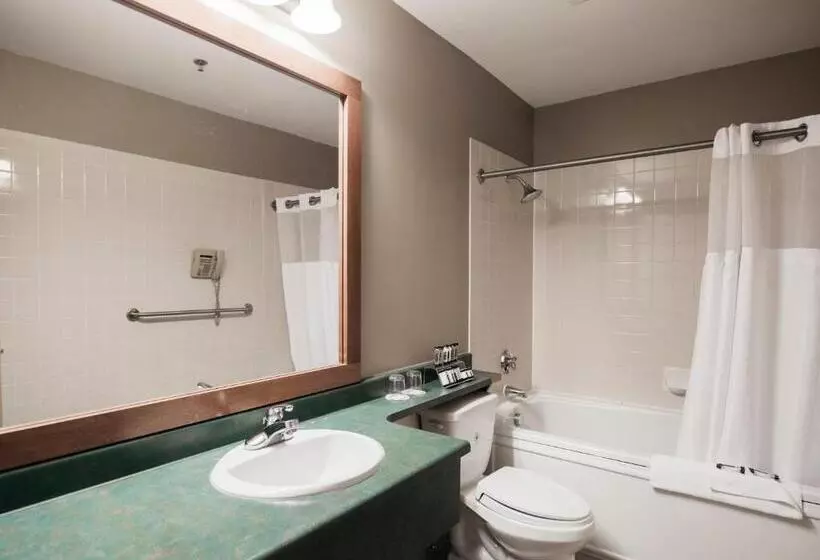 酒店 The Frobisher Inn