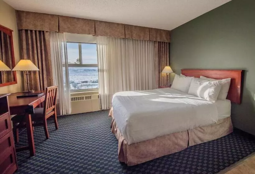 酒店 The Frobisher Inn