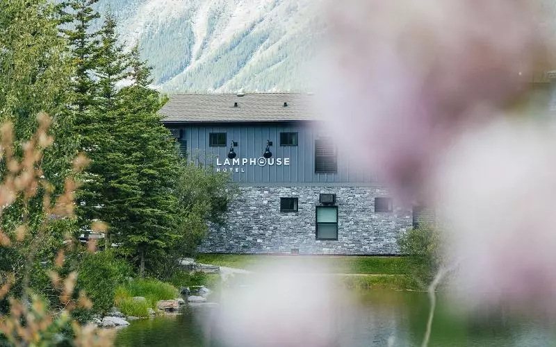 فندق على الطريق Lamphouse By Basecamp