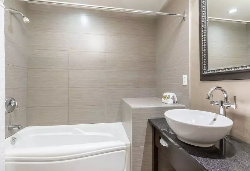 בית מלון כפרי Ambassadeur Et Suites