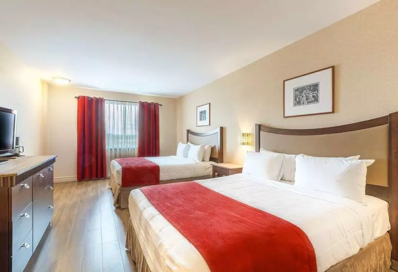 בית מלון כפרי Ambassadeur Et Suites