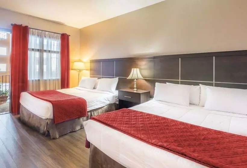 בית מלון כפרי Ambassadeur Et Suites