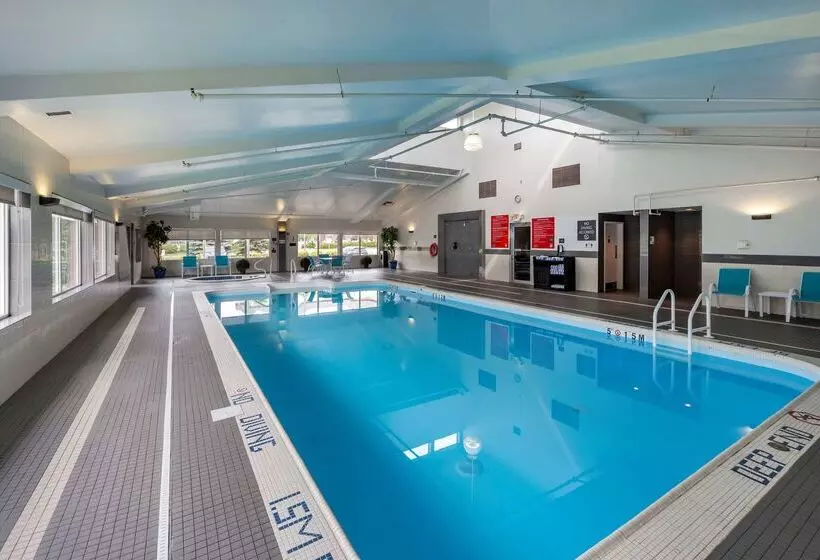 فندق Best Western Plus West Edmonton