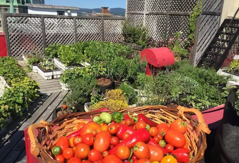 هتل Du Vieux Quebec