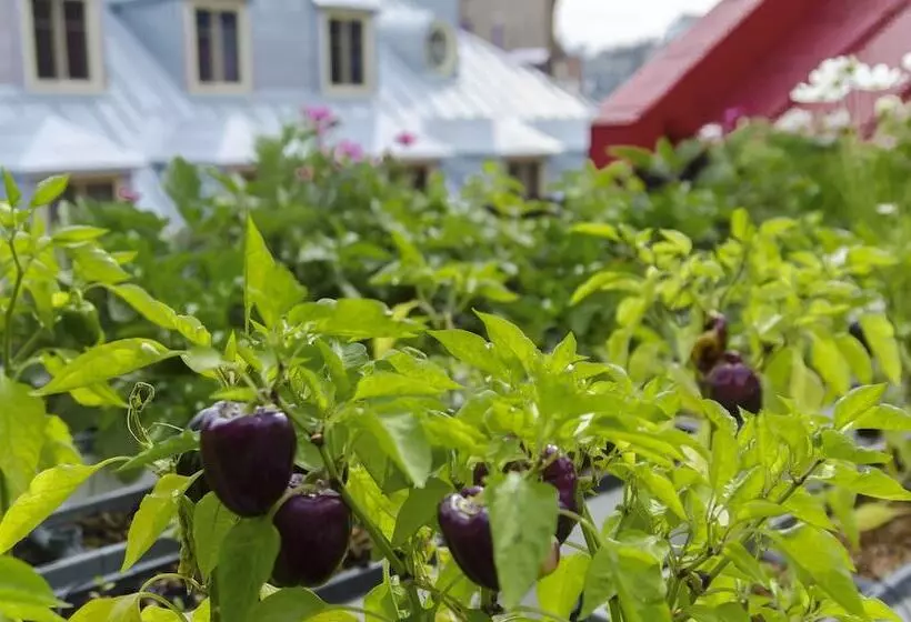 هتل Du Vieux Quebec