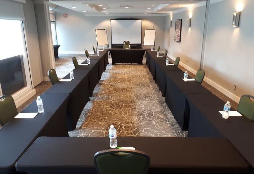 فندق Holiday Inn Vancouver Airport Richmond, An Ihg