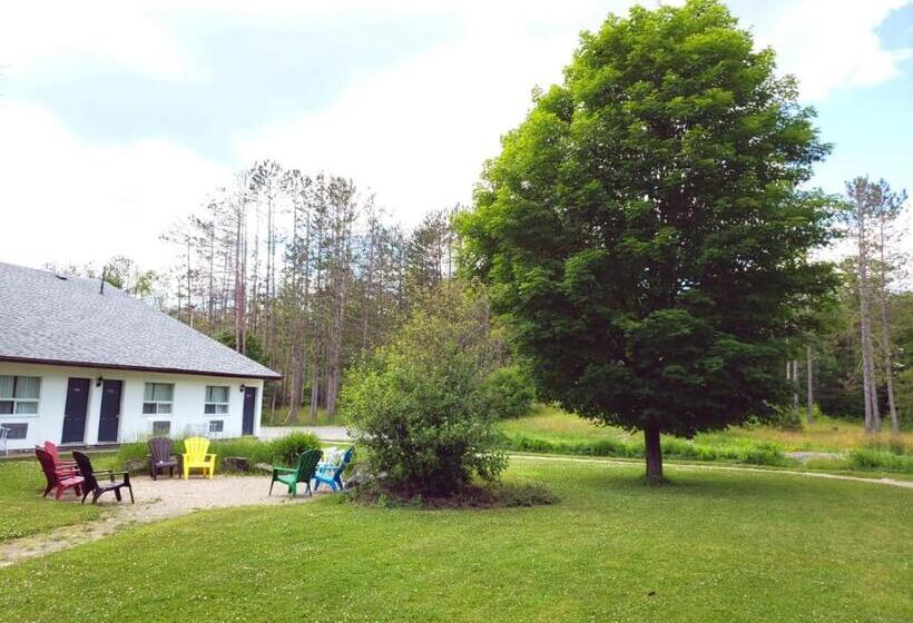 فندق Jolly Roger Inn & Resort