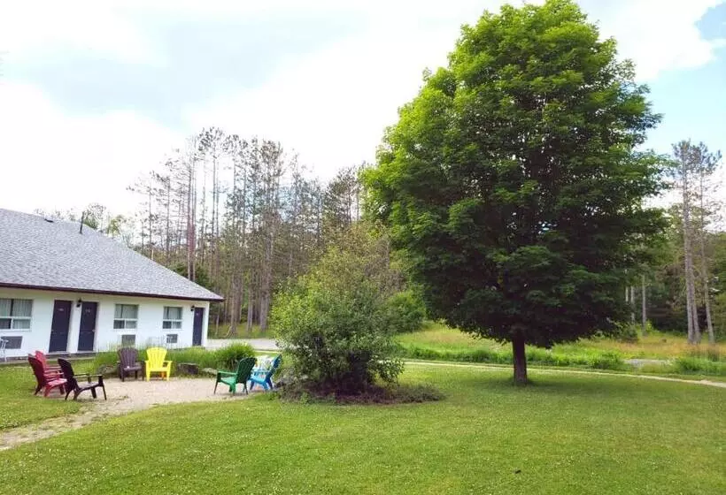 酒店 Jolly Roger Inn & Resort