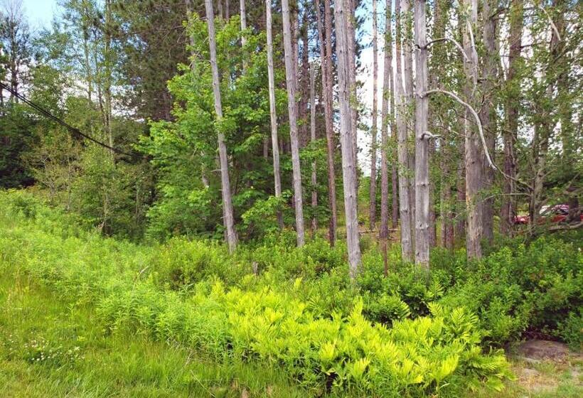 فندق Jolly Roger Inn & Resort