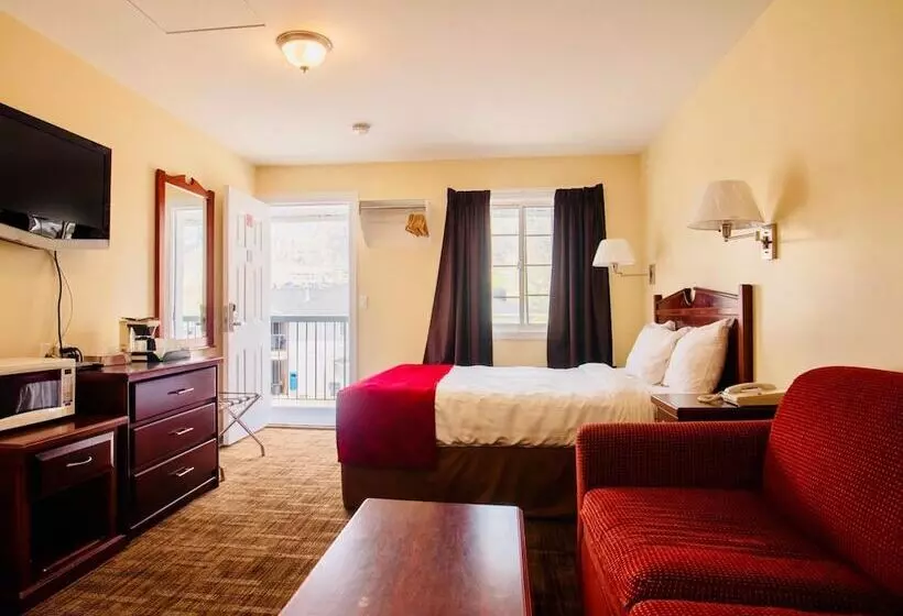 هتل Kings Motor Inn