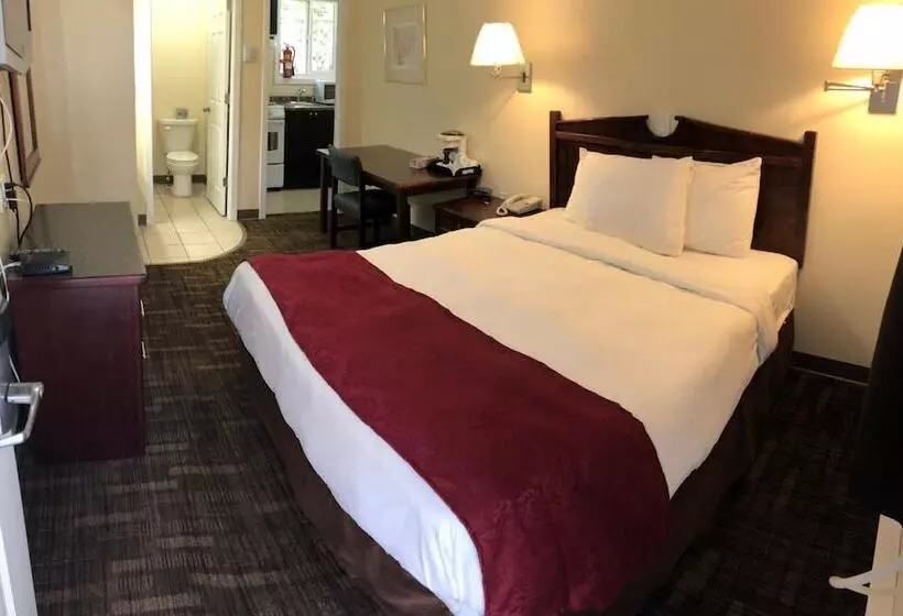 هتل Kings Motor Inn