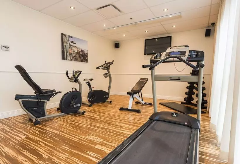 هتل & Suites Le Dauphin Quebec