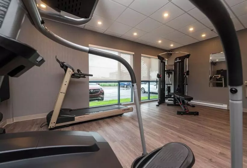 هتل & Suites Le Dauphin Quebec