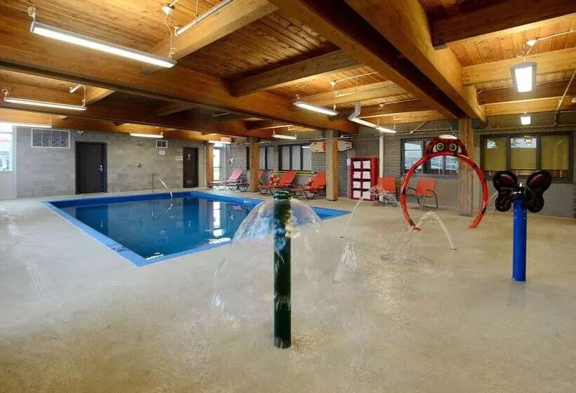 هتل & Suites Le Dauphin Quebec