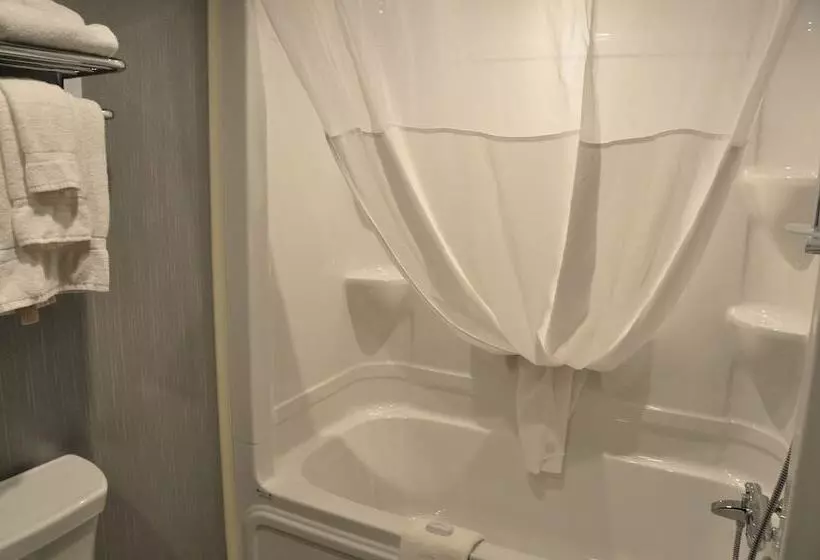 هتل & Suites Le Dauphin Quebec