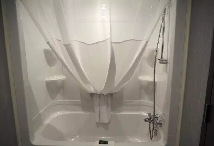 هتل & Suites Le Dauphin Quebec