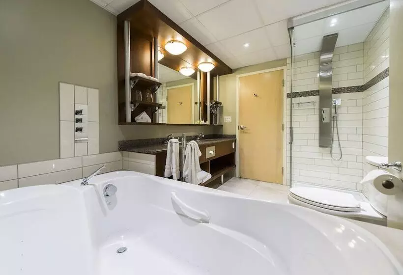 هتل & Suites Le Dauphin Quebec