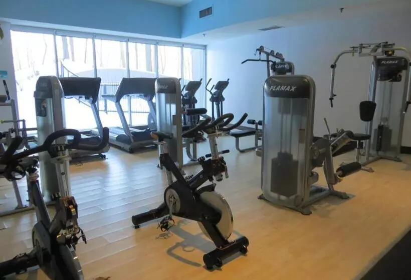 Toronto Don Valley Hotel And Suites