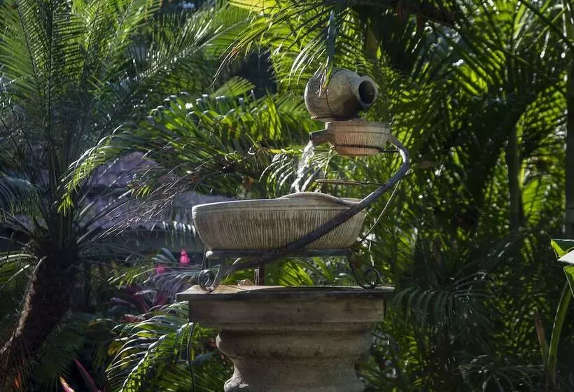 호텔 Capitan Suizo Beachfront Boutique