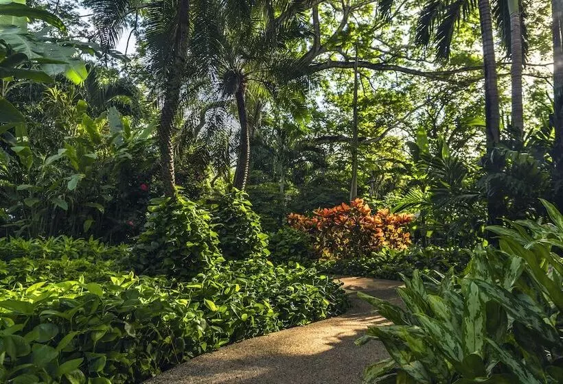 호텔 Capitan Suizo Beachfront Boutique