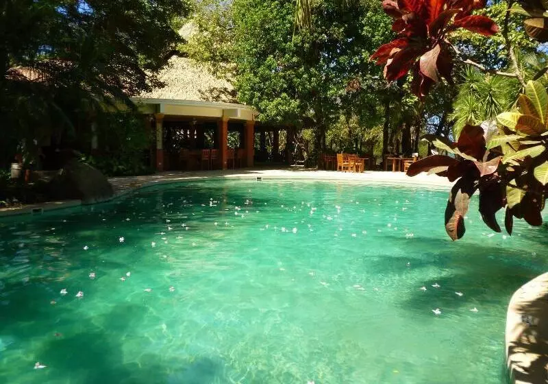 호텔 Capitan Suizo Beachfront Boutique