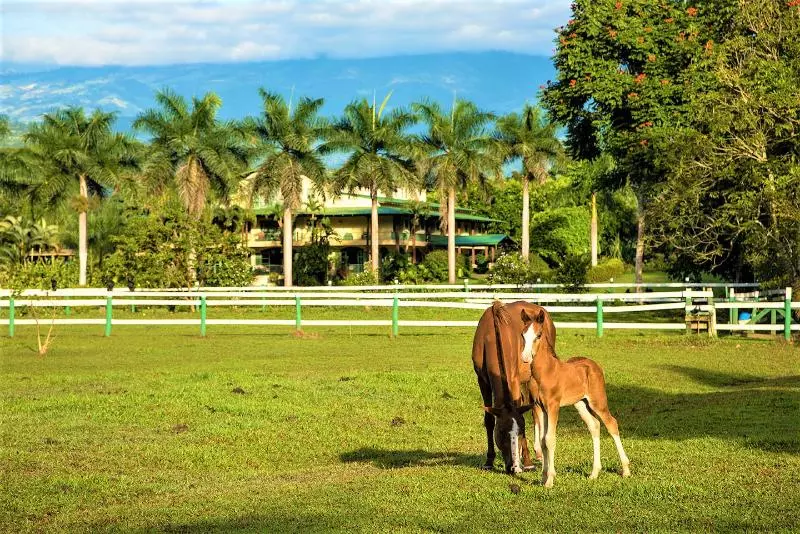 فندق Casa Turire