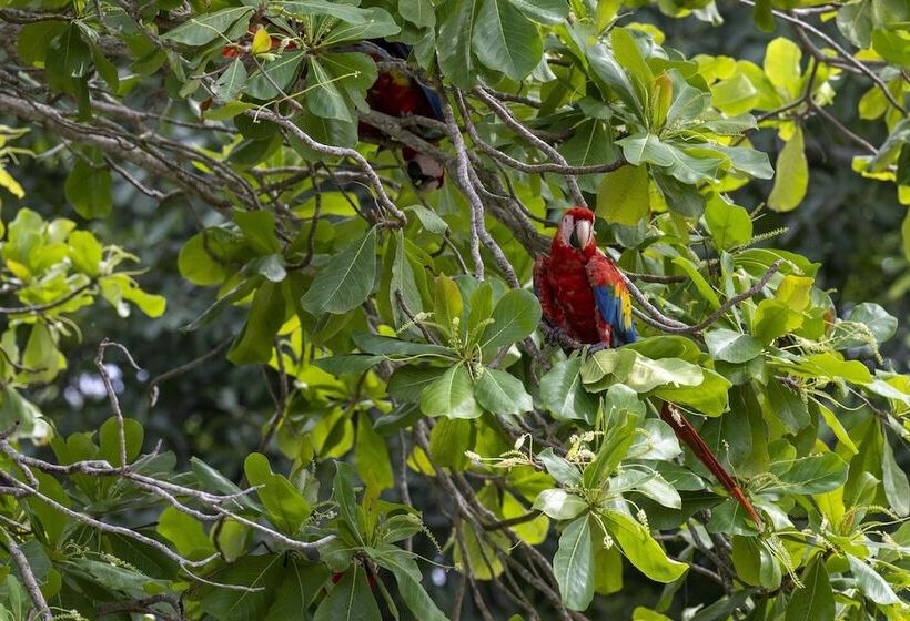 هتل Fuego Del Sol Beachfront