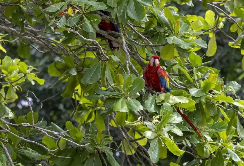Hotel Fuego Del Sol Beachfront
