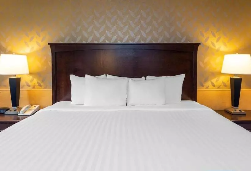 ホテル Prestige Riverside Lodge Quesnel