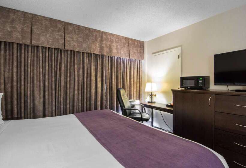 هتل Quality Inn & Suites Yellowknife