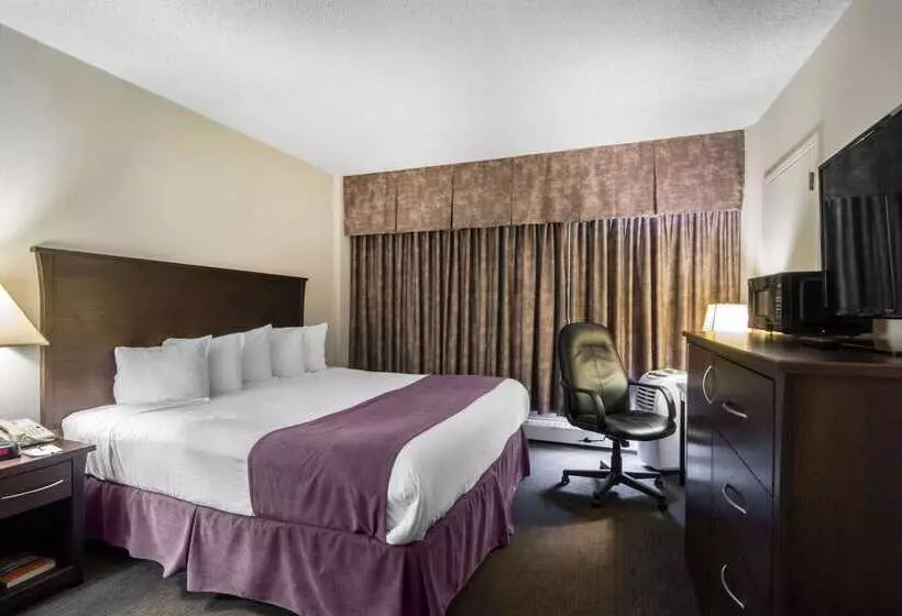 酒店 Quality Inn & Suites Yellowknife