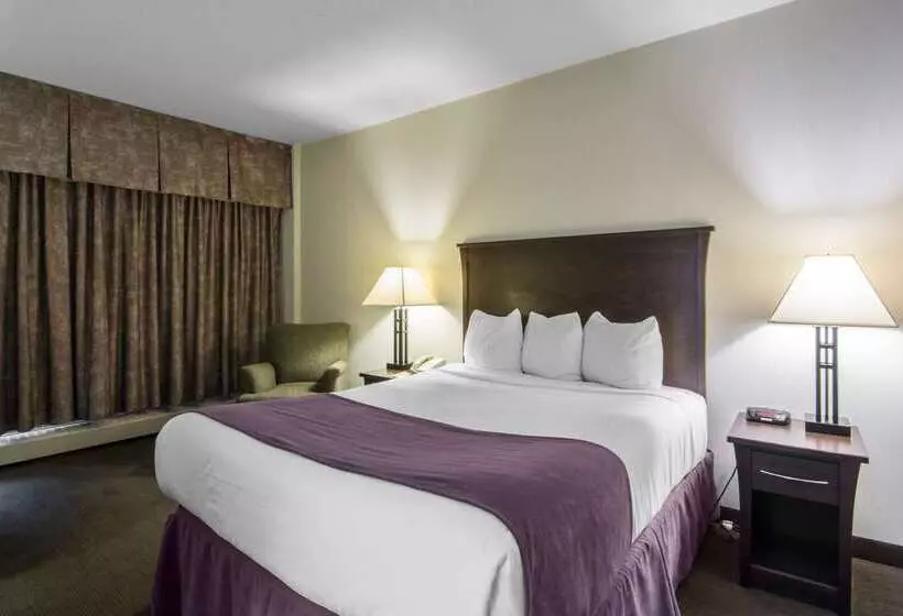 酒店 Quality Inn & Suites Yellowknife