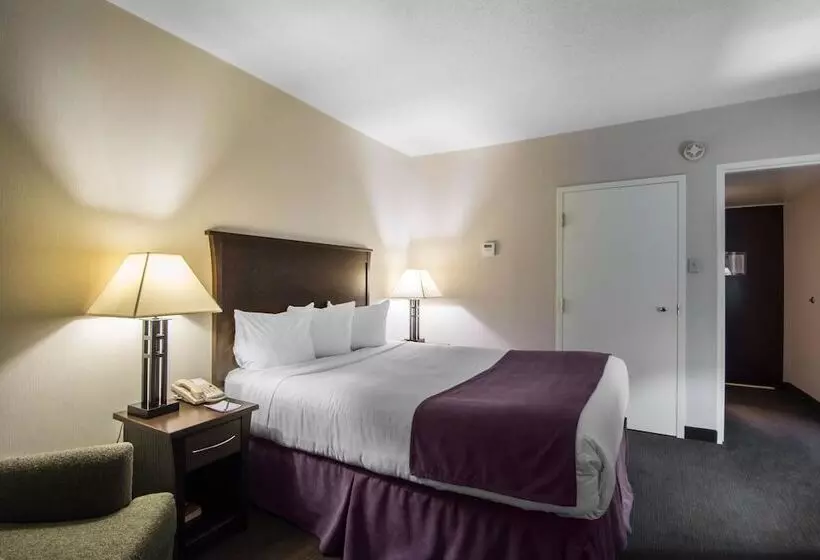 酒店 Quality Inn & Suites Yellowknife
