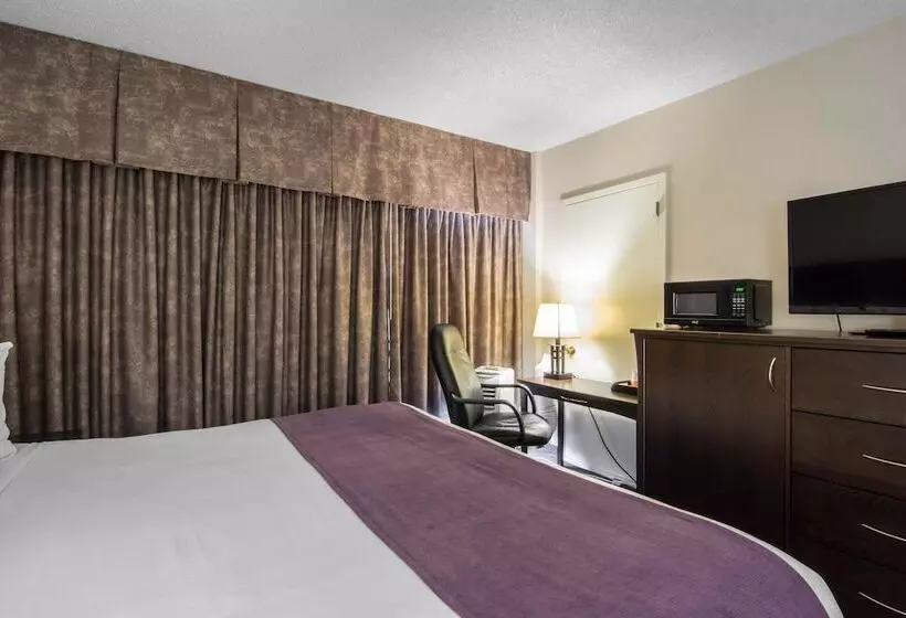 酒店 Quality Inn & Suites Yellowknife