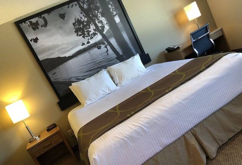 Мотель Super 8 By Wyndham Salmon Arm