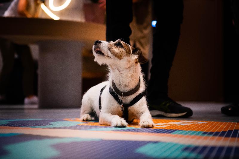 ホテル You Are Deauville