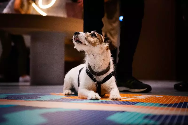 酒店 You Are Deauville