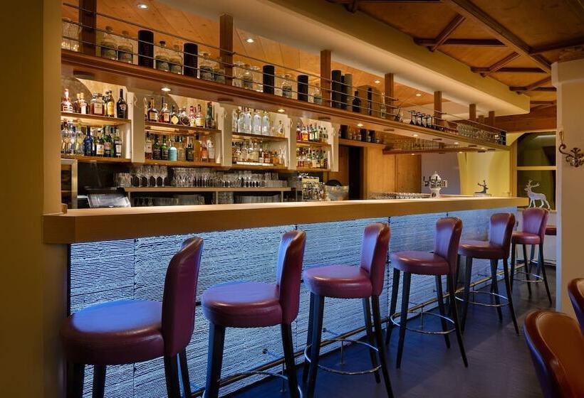 Arabella Alpenhotel Am Spitzingsee, A Tribute Portfolio