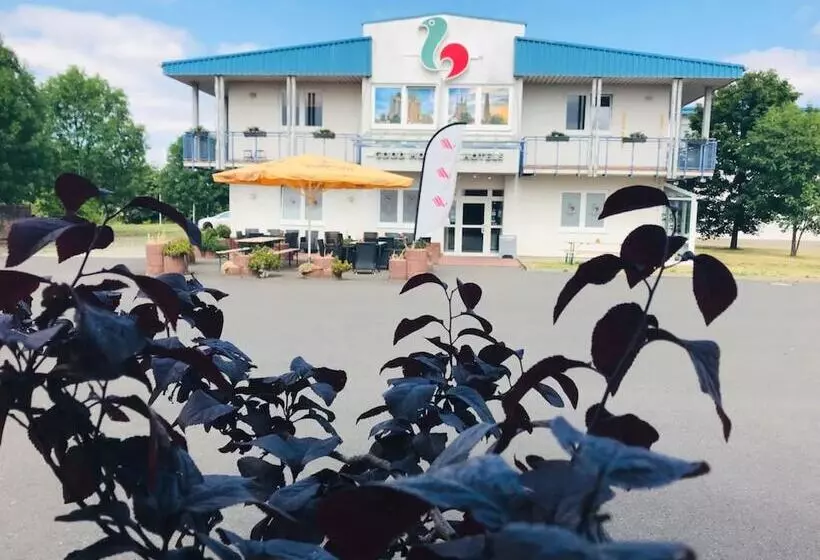 Отель Good Morning Erfurt