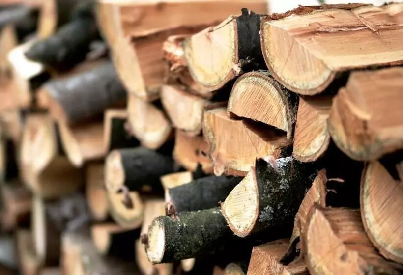 Отель Haus Kronenthal